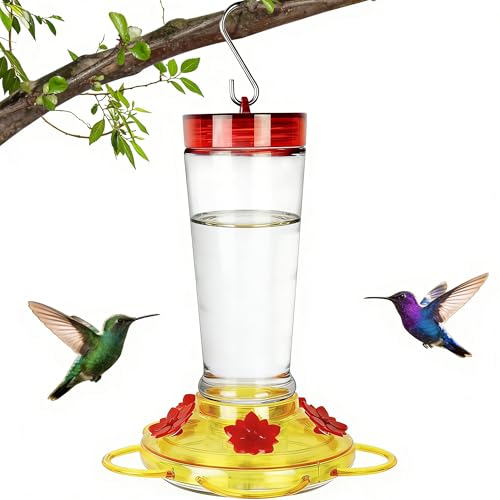 Joliyoou 10oz Glass Hummingbird Feeder Outdoor Hanging
