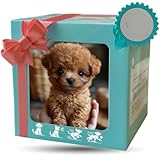 【Conception facile à utiliser, prête à l'emploi】Peluche chien realiste contrôle simple et interface intuitive, pratique pour les adultes à utiliser et à interagir, pas de processus de configuration compliqué, les adultes et les adolescents peuvent rapidement démarrer et interagir.