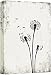 wall26 - Dandelion Seeds on Rustic Background - Canvas Art Wall Decor - 16"x24"