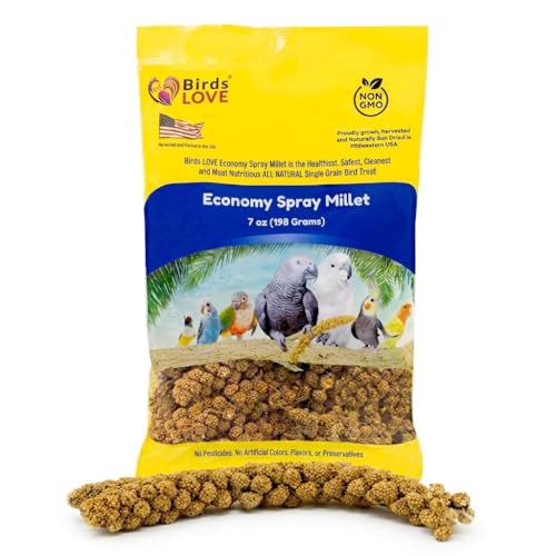 Birds LOVE Economy Spray Millet for Birds 7 oz GMO-Free Natural Millet Spray Treat Stem-Reduced Edible Tops Grown in USA for Parakeets Cockatiels Lovebirds Finches Canaries & Small Parrots