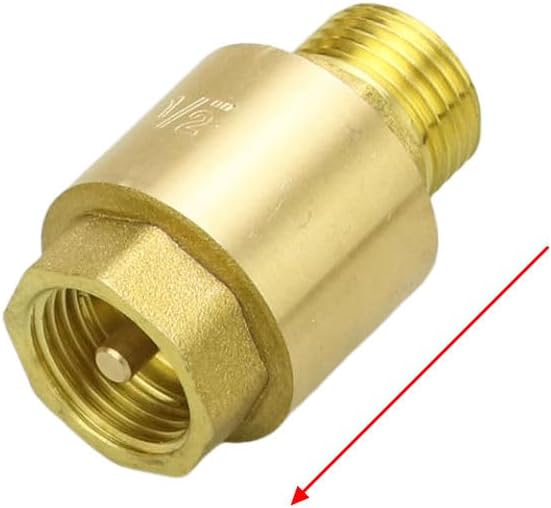 Brass Vertical Check Valve Spring Loaded Water Pipe Fitting(M to M,2")