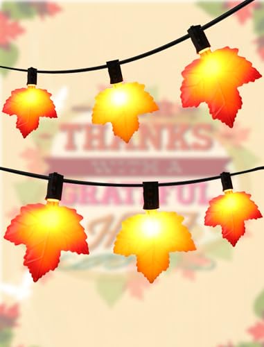 Hobbynors 10.5 Feet Classic Fall Garland Lights,10 Warm-Glow LEDs for Rich, Amber Ambiance,UL...