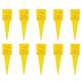 Regenmesser für den Garten für genaue Regenfälle und Bewässerungsmessung (10 Stück)