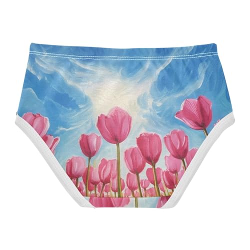 Animal Girls Underwear Toddlers 2t Cotton Panties Little Girl Vibrant Field Pink Tulips Blue Sky Kids Briefs Undies2