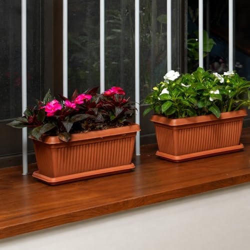 Image of Tray for Bello Rectangle 30cm (Mocca) Plastic Planter | Drainage Water Collector Tray for Home & Garden