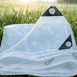 Telone PVC Occhiellato 90 x 220 cm 400 G M² - PVC Trasparente, Resistente Alle Intemperie, Impermeabile Telone Trasparente Impermeabile per Esterni, Protezione Invernale, A