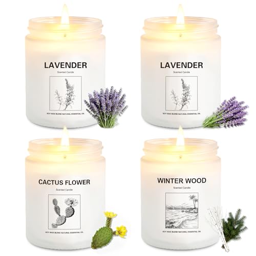 Holiday & Christmas Winter Candles Gift Set,4 Pack Long Lasting