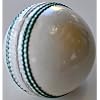 CyclingDeal T20 White Leather Cricket Ball - No Stamp