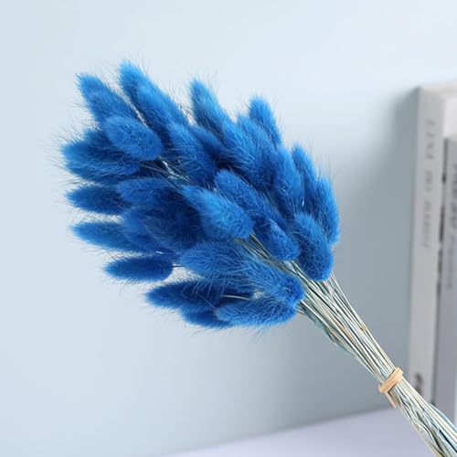 60PCS Rabbit Tail Grass Dried Flowers Dried Natural Floral Arrangement Bunch Decoration Dried Grass,Eternal Flower Dried Grass for Home,Wedding,Party,Flower Bouquet,Photo Props Decor (Blue)
