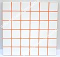 Grout 360 Electric Orange Sanded Tile Grout for Tile Installation Jobs. Use on Floors, Walls, Back Splashes, Showers, and Mosaics. (5)