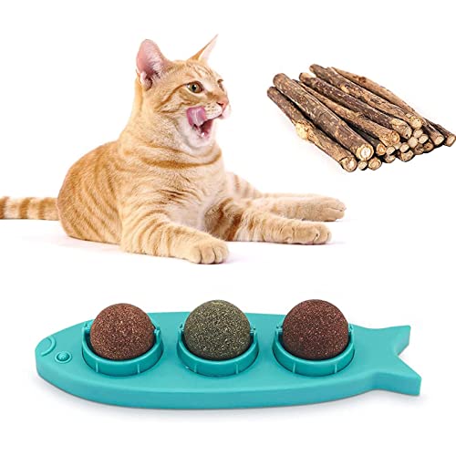 Amazon Best Sellers Best Cat Toys