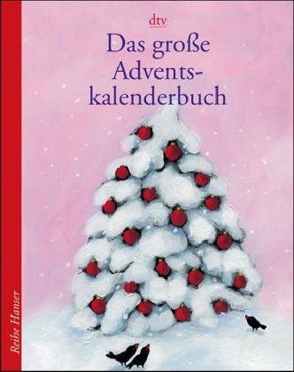 Das große Adventskalenderbuch: Alina und die geheimnisvolle Zeit (dtv Fortsetzungsnummer 85, Band 6