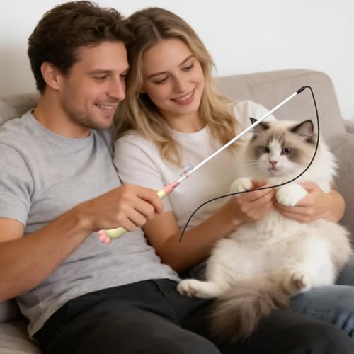 Canne interactive pour chat pour l'entraînement et contre l'ennui