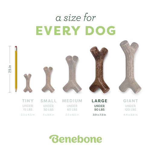 Image of Benebone Maplestick Real Wood Durable Dog Chew Toy, Made in USA, Large (Pack of 2)