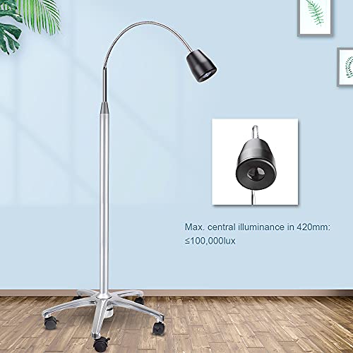 Eustoma 3W Led Light Floor Mobile Type Portable Auxiliary Lamp Led Surgical Cold Lamp Jd1100 #TOP2