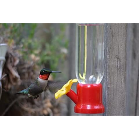 VIMOA Mini Small Hummingbird Feeders & Hanging Moats Red Yellow Plastic Safe & Hummingbirds Love Cover