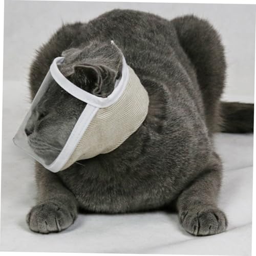 Ojos de gato transpirable accesorio transparente antimordeduras para viaje 6