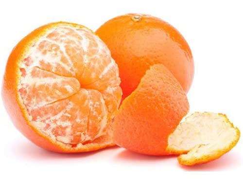 Muda De Tangerina Mexerica Cravo Enxertada Selecionada