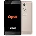 Produktbild Gigaset GS180 Smartphone ohne Vertrag (12,7 cm (5 Zoll HD) 16:9 Display, 16GB Speicher, Pure Android 8.1) champagne