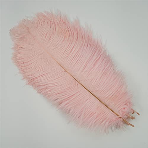10 Teile/los Farbige Straußenfedern für Bastelarbeiten, Hochzeitsdekoration, Bastelzubehör, Tischdekoration, Karnevalsdekoration, hellrosa, 55-60 cm, 22-24 Zoll Cover