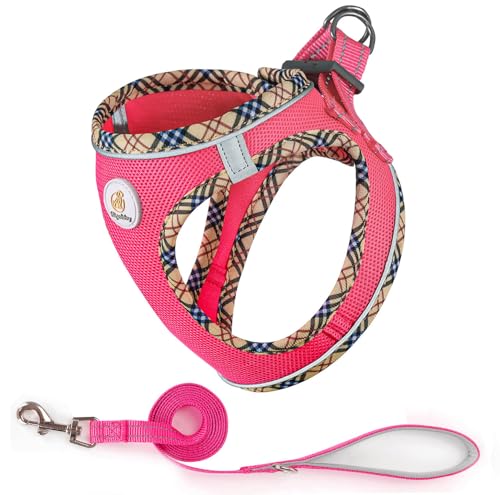 Hipubby pn[lX ^ƃ[VZbgAh~\tgbVqxXgA˒ʋCyʃybgn[lXA^A^ALpn[lX([YbhAM)