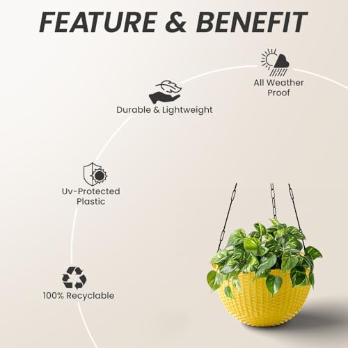 Image of YUCCABE ITALIA SHERA URO-Basket Plastic Flower Pot with Drainage Holes Round Planter Pot Suitable for Inddor Outdoor Kitchen (Yellow, 6 INCH - 6 Pcs)