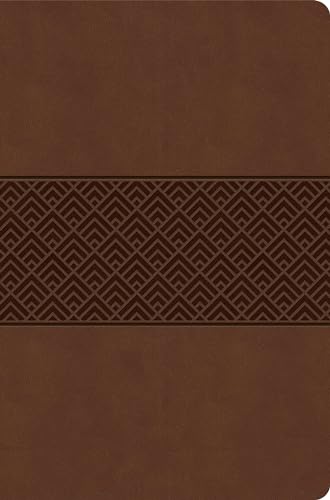 CSB Everyday Study Bible, Brown Burnished, Global