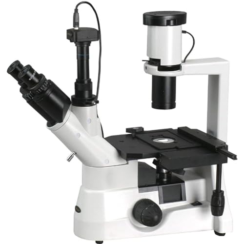 AmScope IN300TC-10M Digital Long Working Distance Inverted Trinocular Microscope, 40x-1000x, WH10x and WH25x Eyepieces, Phase-Contrast Objectives, 30W Halogen Illumination, 0.3 NA Abbe Condenser, Mechanical Stage, 110V, Includes 10MP Camera with Reduction Lens and Software