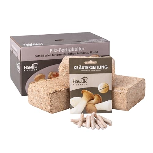 Hawlik Pilzbrut – Cultivarse setas de cardo – Fácil de cultivar setas en tu propio jardín – Kit setas autocultivo para el jardín – Juego de cultivo de setas