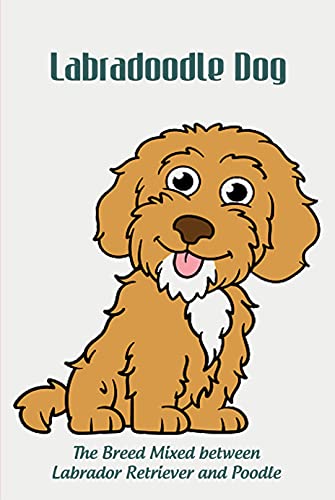 Labradoodle Dog: The Breed Mixed between Labrador Retriever and Poodle: Labradoodle Mixed Dog Breed Pictures, Characteristics and Facts