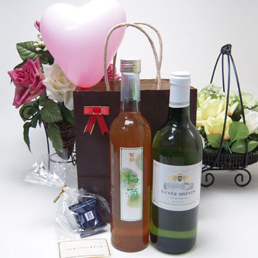 aDZbg Mtg C~(LFEu@ tXC750ml 썂~500ml)v2{ bZ[WJ[h n[gD ~j`Rt