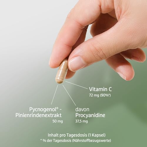 Pinienrindenextrakt mit Vitamin C – 60 vegane Kapseln