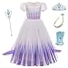 New front Set da Principessa Costume Carnevale Elsa Viola Vestito Bambina Cosplay Costumi Castello Incoronazione Abiti Gonna Corona + Bacchetta Magica + Guanti + Parrucca