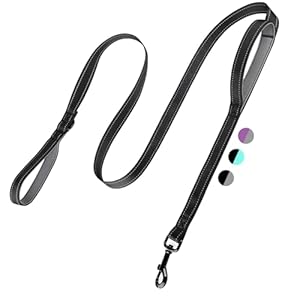 2-Handle Dog Leash Heavy Duty, Traf...