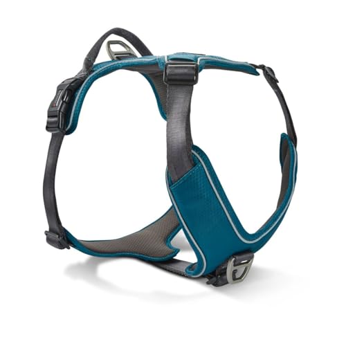 Wolters Geschirr Active Pro Comfort, Größe:60-75 cm, Farbe:Petrol/anthrazit