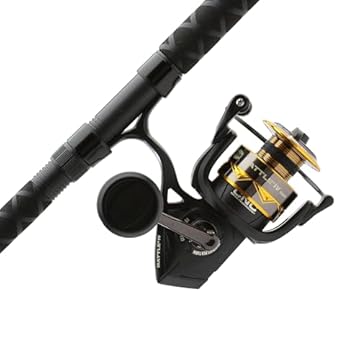 best rod and reel combo for saltwater pier fishing