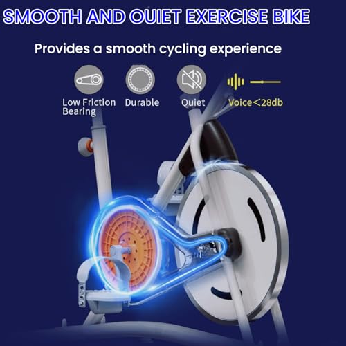 Image of NAYSAYE Exercise Bike, Adjustable Stationary Bikes with Smartphone Mount, Professional Exercise Bike with Digital Pulse Display for Home and Office