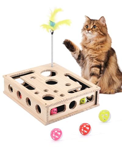 Cat Toys for Indoor Cats - Interactive Box Puzzle Toy Nail File Scratcher Hunting Play Toy with 3...