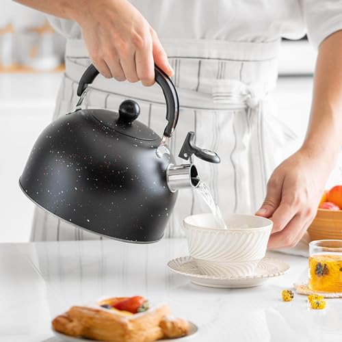 Bouilloire à sifflet noir pot à eau cuisinière électrique chauffe eau