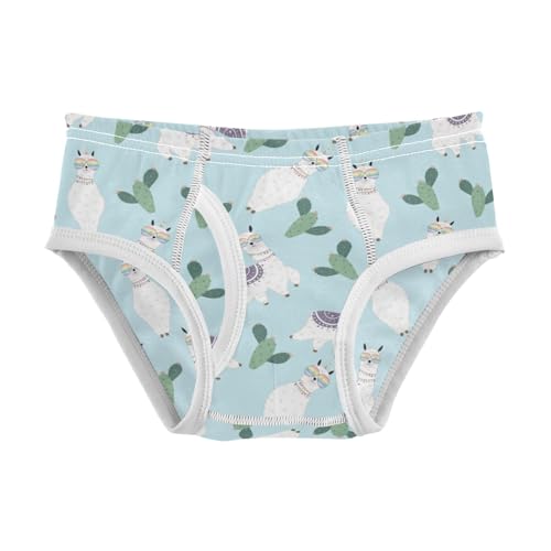 Boys' Exclusive Briefs Toddler Underwear 95% Combed Cotton Boxerbriefs 2T Llama and Cactus Pattern 18