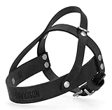 Harley-Davidson Genuine Leather Dog Harness, Embossed H-D Logo - Black (L/XL)