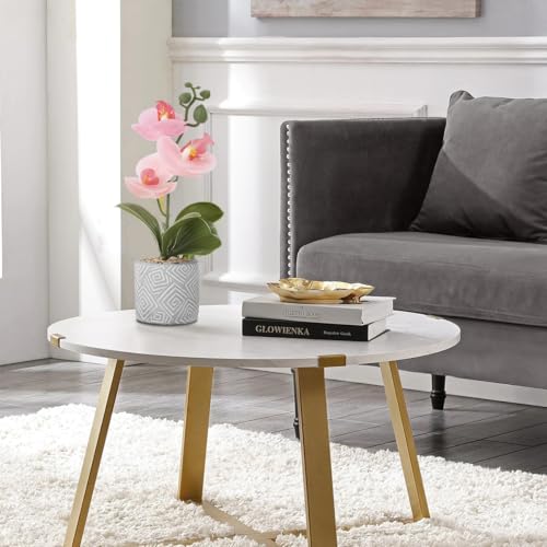 Image of HASTHIP Artificial Moth Prchid Flower, Artificial Orchid Plants for Home Decor, 28CM Artificial Plants with Cement Pot, Faux Orchid Flowers for Desk Decor, Rubber Artificial Plants for Decoration