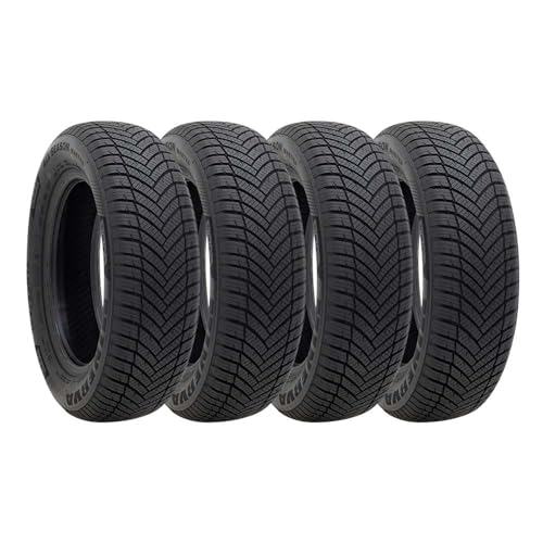 4{Zbg MINERVA (~lo) ^C T}[^C ALL SEASON MASTER 225/60R17 103V XL 17C`