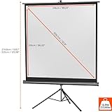 Celexon Stativleinwand Economy 219 x 219 cm - 2