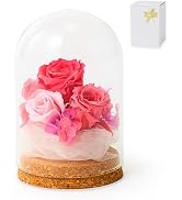 bloomee(ブルーミー) ガラスドーム プリザーブドフラワー 花 水いらず クリスマス ギフト プレゼント お祝い 内祝い プチギフト 誕生日プレゼント 誕生日 フラワー 生花 お花 フラワ...