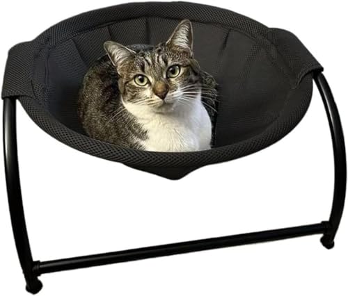 DancJulieLpxbh ybgnbN ې􂢉\ \ OȒP ʋCǍD ˊOΉ LQEybgpi (ubN -bVn)