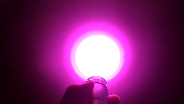 Amazon.com: Marhynchus 10 Different Color Flashlight, LED Color