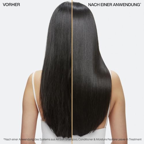 3. Bild von Redken Haarshampoo für trockenes und brüchiges Haar, Belebt und hydratisiert, Mit Omega-6 und Argan-Öl, All Soft Shampoo 300 ml (1er Pack)