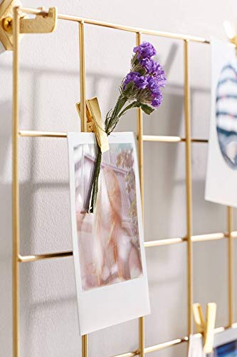 PIKIFY Wall Grid Panel Decorative Steel Hanging Art Display Photo (8"X8",Gold) Decorative Show Pieces Wall Mounted| Without Flowers (4) 1