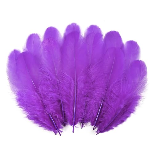 whitefeather 900pcs Purple Feathers Bulk for Crafts - 3-5 Inch Natural Rooster Feathers for Dream Catchers, DIY, Teens Crafts, Party & Jewelry Decoration (26 Colors, Soft & Fade-Resistant)